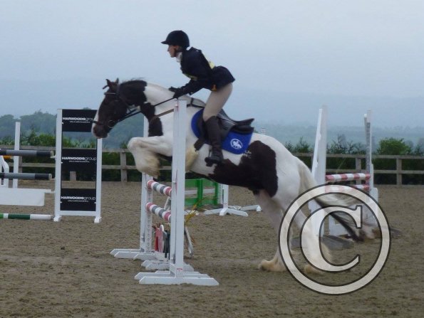 13247882_1141170905949115_4854823602703859841_o