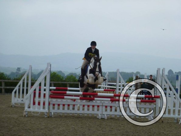 13254681_1141171012615771_5268937130121894356_o