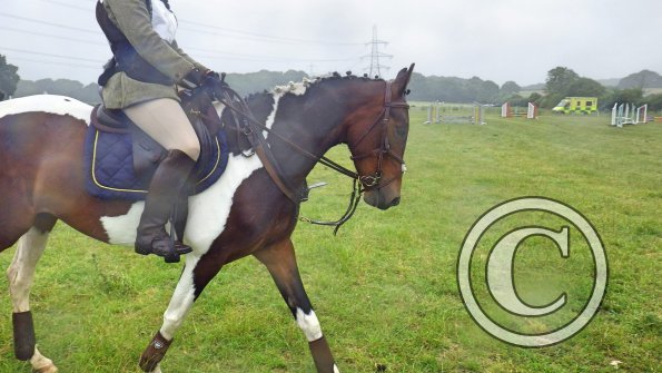 13589097_1331379476890641_1880395621_o