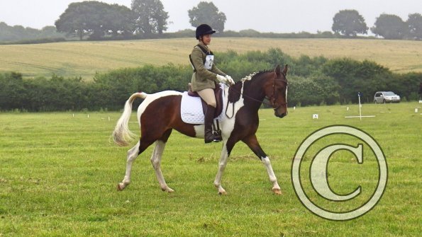 13633308_1331379616890627_2124008132_o