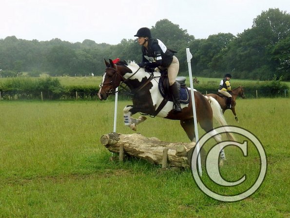 13639567_1331379463557309_181876426_o