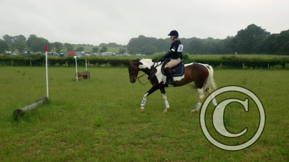 13646939_1331379636890625_371061386_o