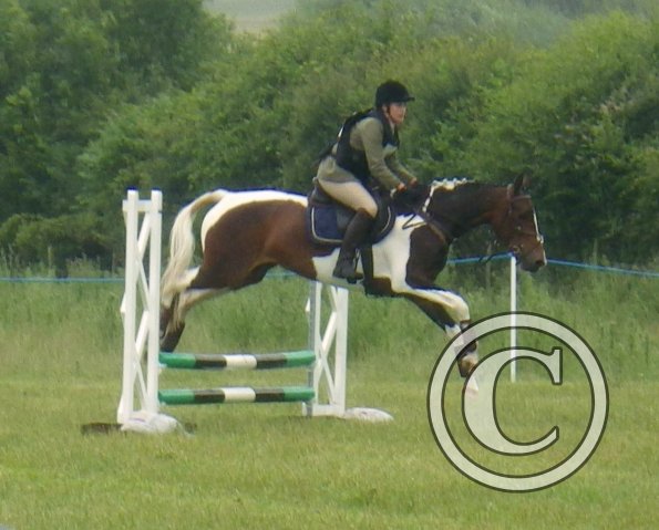 13663428_1331378636890725_104474087_o