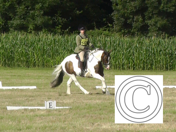 Dressage (1)