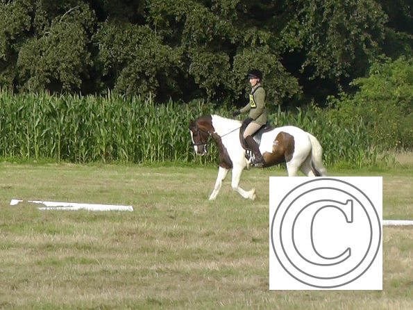 Dressage (9)