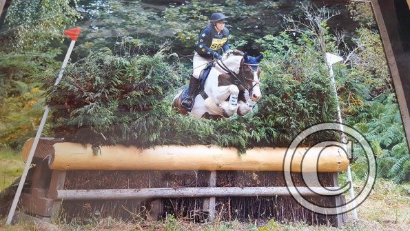 XC Brush fence 3 Spidge