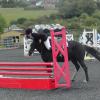 Brendons show jumping