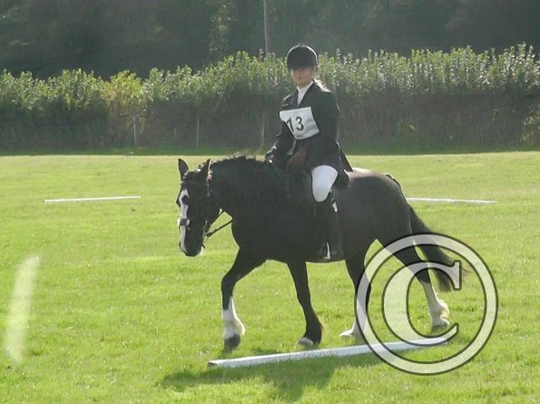 Chloe Dressage (2)
