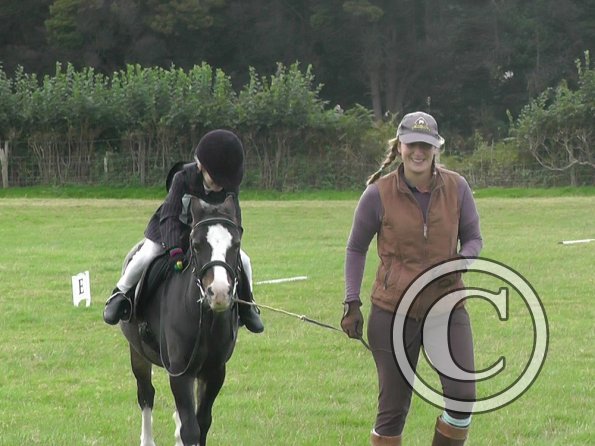 Crystal Dressage (2)