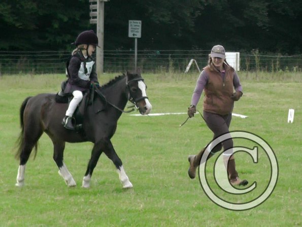 Crystal Dressage (3)