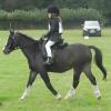 Crystal Dressage