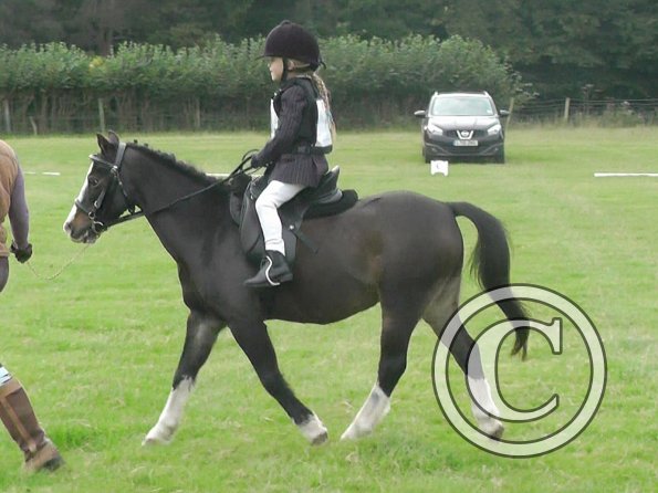 Crystal Dressage