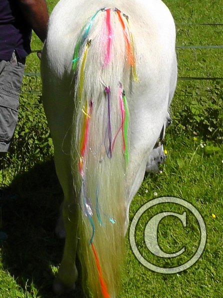 Widget my little pony