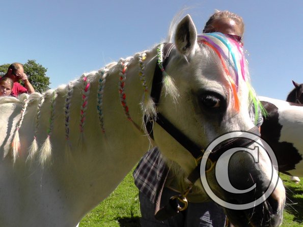 Yard show june 14 (10)