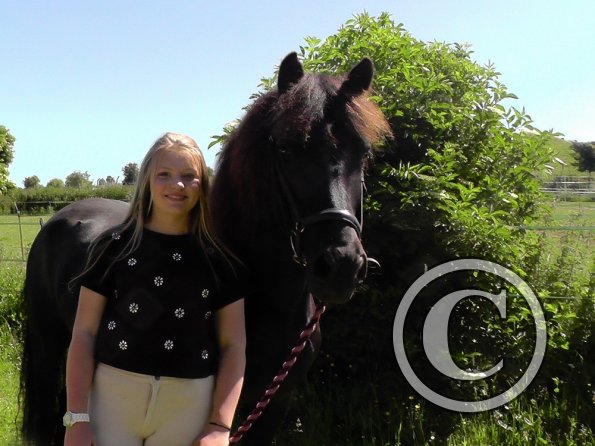 Yard show june 14 (6)