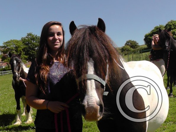 Yard show june 14 (8)