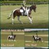 Dressage (6)
