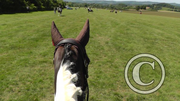 Ghost goes eventing (2)