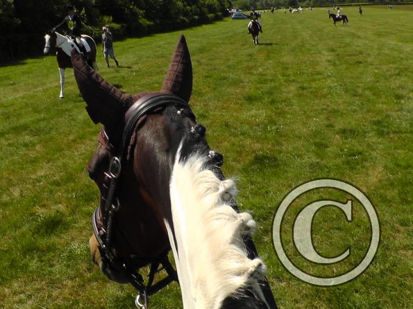 Ghost goes eventing (3)