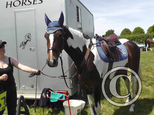 Ghost goes eventing (6)