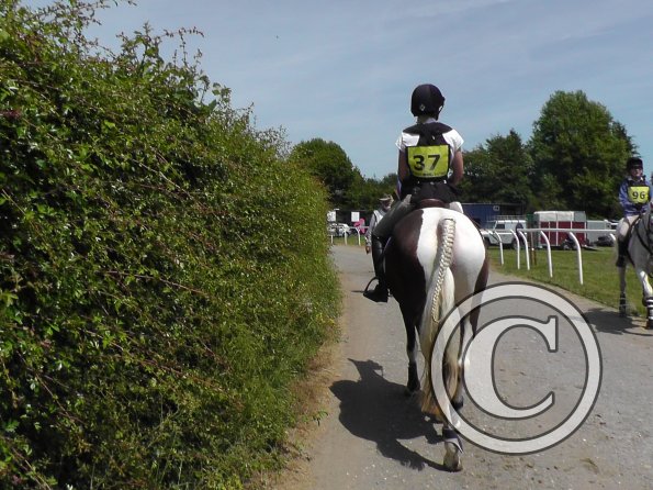 Ghost goes eventing (9)