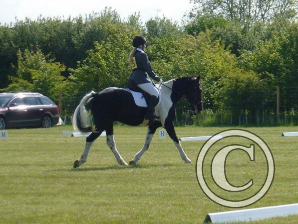 JD DRESSAGE 1