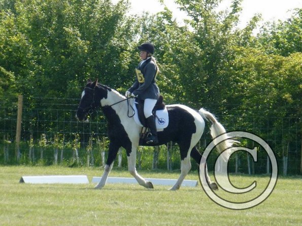 JD DRESSAGE 2