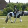LANCE DRESSAGE 2