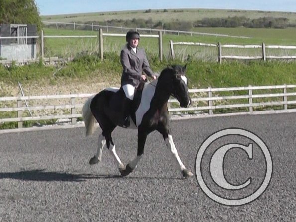 Jade and JD @ Brendon Training Show (2)