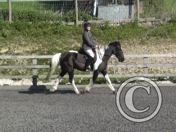 Jade and JD @ Brendon Training Show