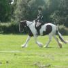 27 Anna-LAnce Dressage (2)