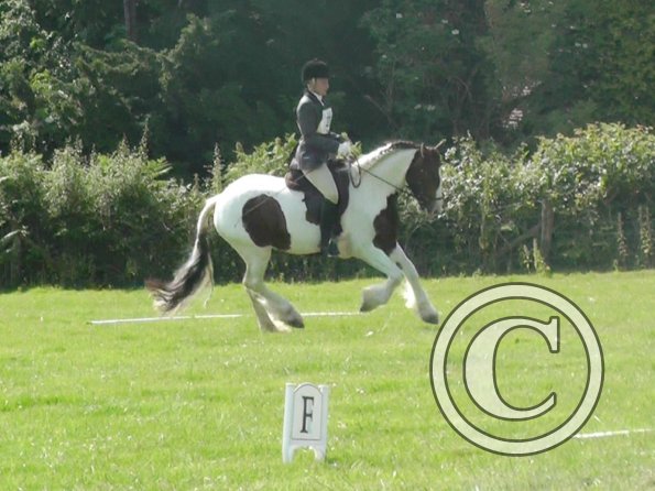 27 Anna-LAnce Dressage (3)