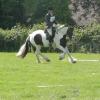 27 Anna-LAnce Dressage (4)