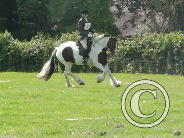 27 Anna-LAnce Dressage (4)