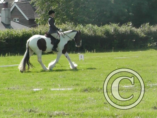 27 Anna-LAnce Dressage (5)