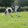 27 Anna-LAnce Dressage (6)