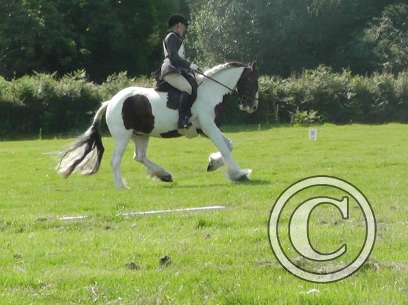 27 Anna-LAnce Dressage (6)