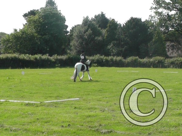 27 Anna-LAnce Dressage (8)