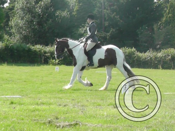 27 Anna-LAnce Dressage