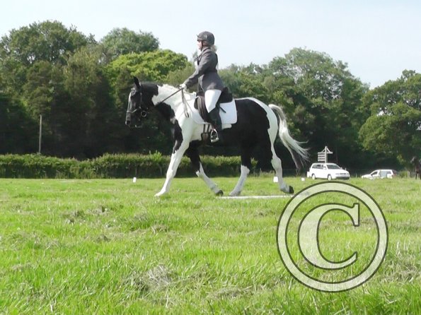 28 Jade-JD Dressage (2)