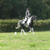 28 Jade-JD Dressage (3)