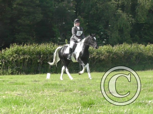 28 Jade-JD Dressage (3)