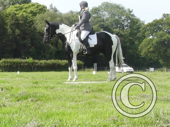 28 Jade-JD Dressage