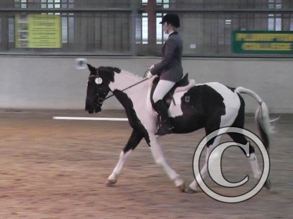 10-20-2013_114048(1)