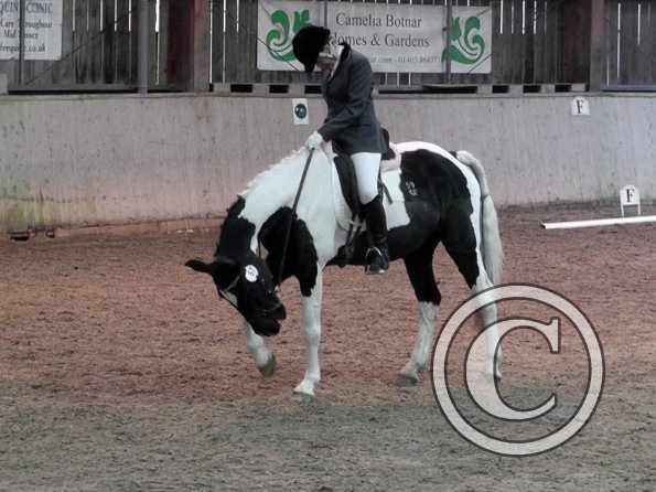 10-20-2013_114048(11)