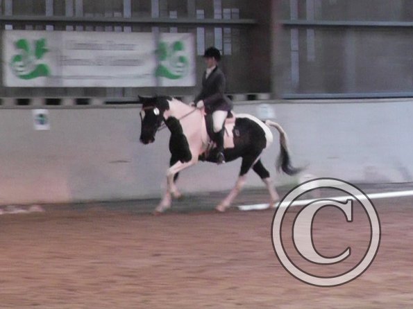 10-20-2013_114048(4)