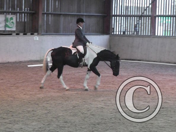 10-20-2013_114048(6)