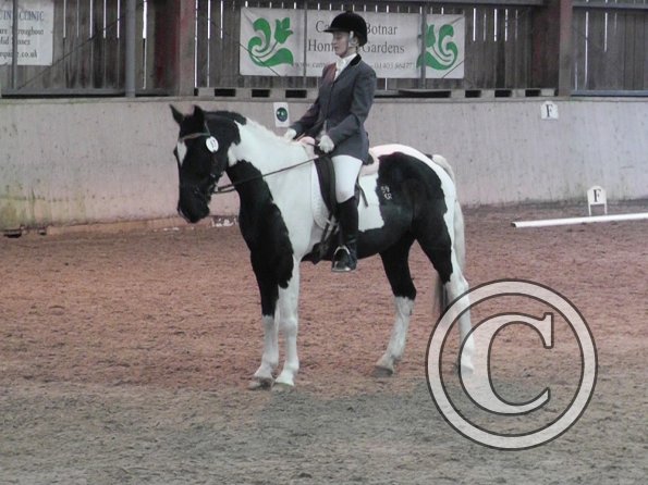 10-20-2013_114048(8)