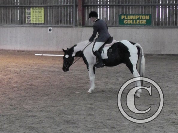 10-20-2013_121138(2)