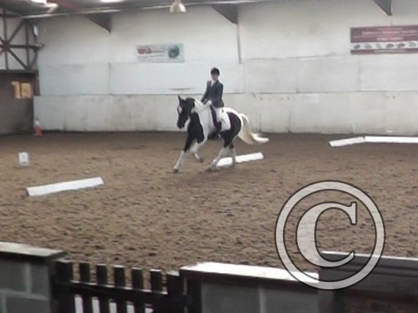 11-16-2013_114131 (2)